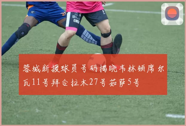 蓉城新援球员号码揭晓韦林顿席尔瓦11号拜合拉木27号茹萨5号